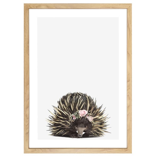 Baby Echidna Rose Crown Framed Printed Wall Art