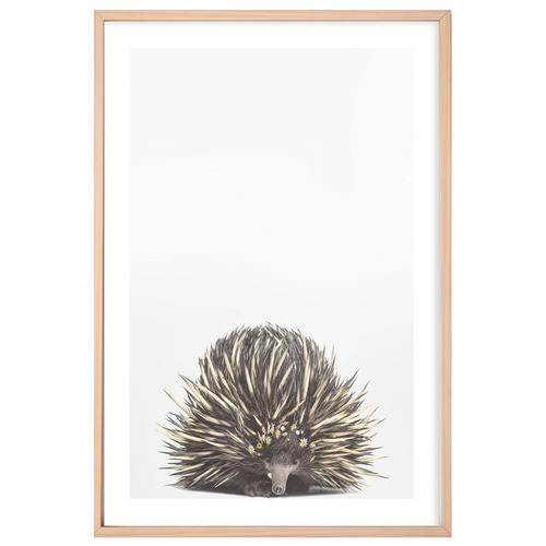 Baby Echidna Daisy Crown Framed Printed Wall Art