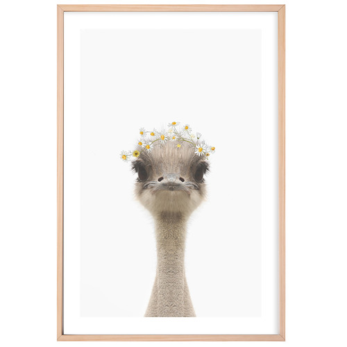 Baby Emu Daisy Crown Framed Printed Wall Art