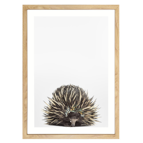 Baby Echidna Eucalyptus Crown Framed Printed Wall Art