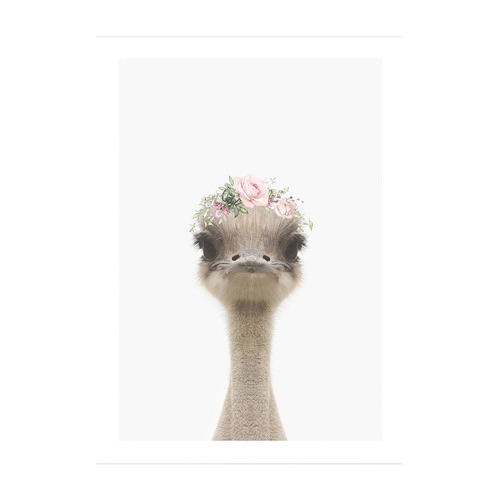 Baby Emu Rose Crown Framed Printed Wall Art