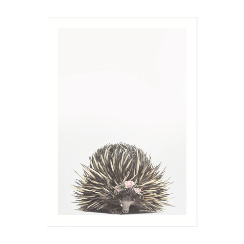 Baby Echidna Rose Crown Framed Printed Wall Art