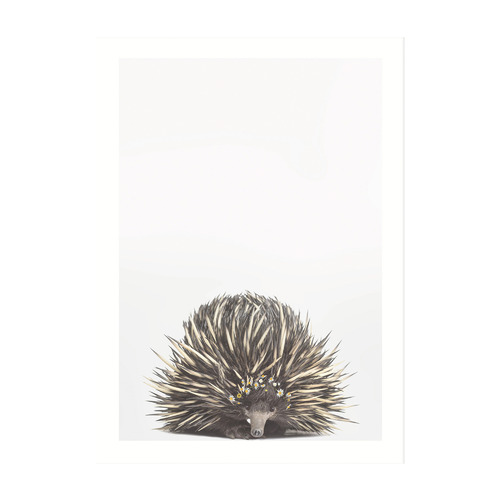 Baby Echidna Daisy Crown Framed Printed Wall Art