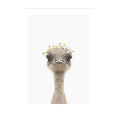 Baby Emu Daisy Crown Framed Printed Wall Art
