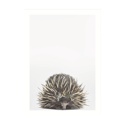 Baby Echidna Eucalyptus Crown Framed Printed Wall Art