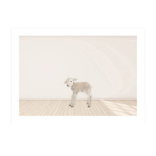 Baby Lamb Framed Printed Wall Art