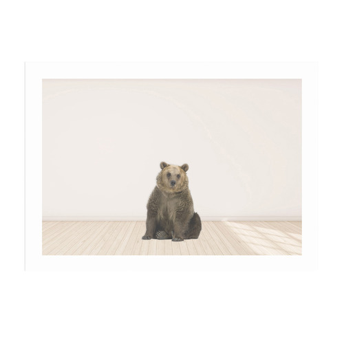 Grizzly Bear Framed Printed Wall Art