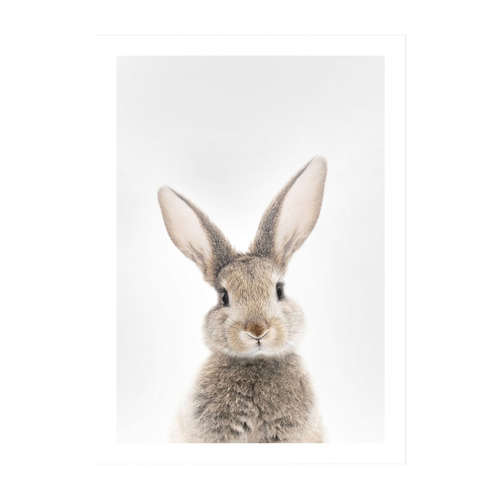 Bunny Rabbit Framed Printed Wall Art