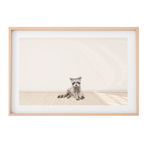 Baby Raccoon Framed Printed Wall Art