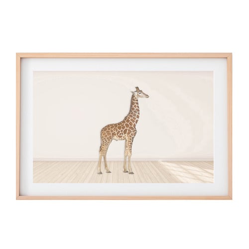 TinyTotsPrints Baby Giraffe Printed Wall Art Temple & ster