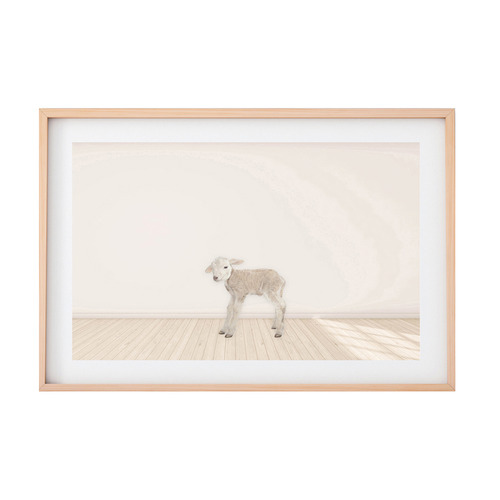 Baby Lamb Framed Printed Wall Art