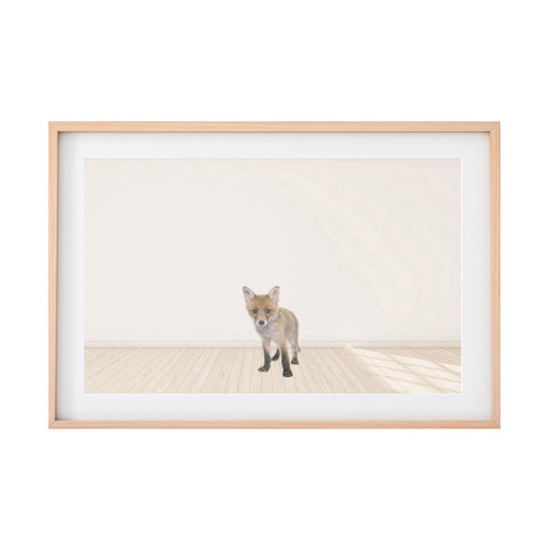 Baby Fox Framed Printed Wall Art