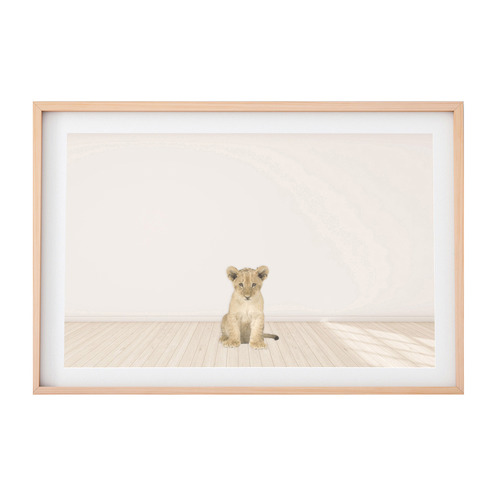 Baby Lion Cub Framed Printed Wall Art