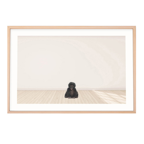 Baby Monkey Framed Printed Wall Art