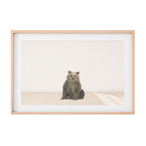 Grizzly Bear Framed Printed Wall Art