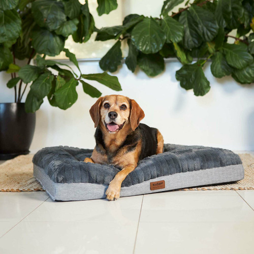 Kazoo Dark Cloud Comfort Pet Bed Temple & ster