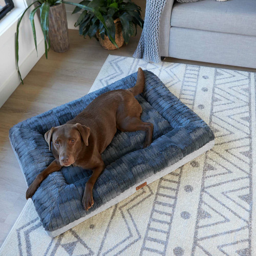 Kazoo Dark Cloud Comfort Pet Bed Temple & ster