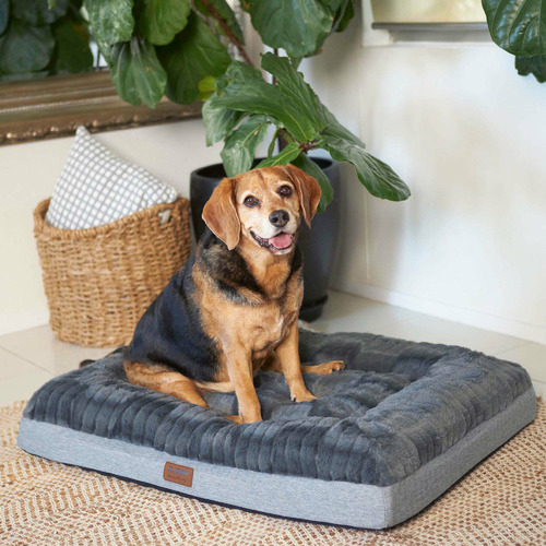 Kazoo Dark Cloud Comfort Pet Bed Temple & ster