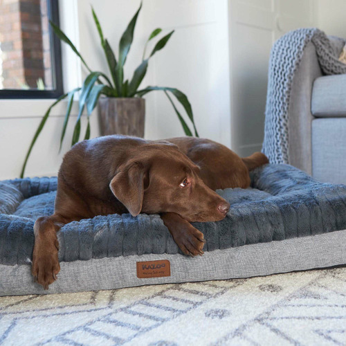 Kazoo Dark Cloud Comfort Pet Bed Temple & ster