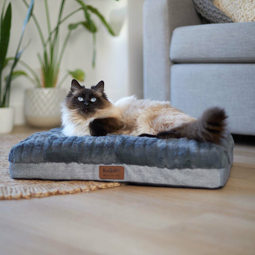Kazoo Dark Cloud Comfort Pet Bed Temple & ster