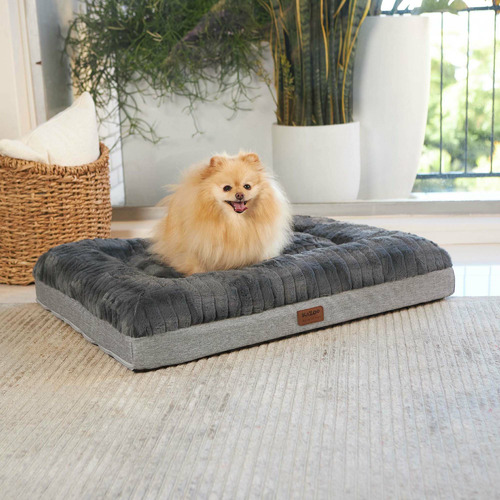 Dark Cloud Comfort Pet Bed Temple & ster