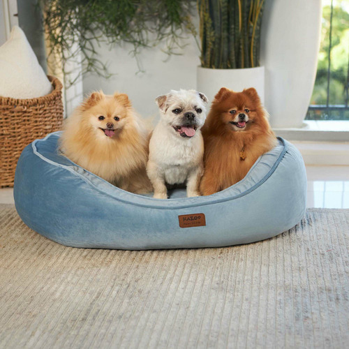 Bilby Pet Bed