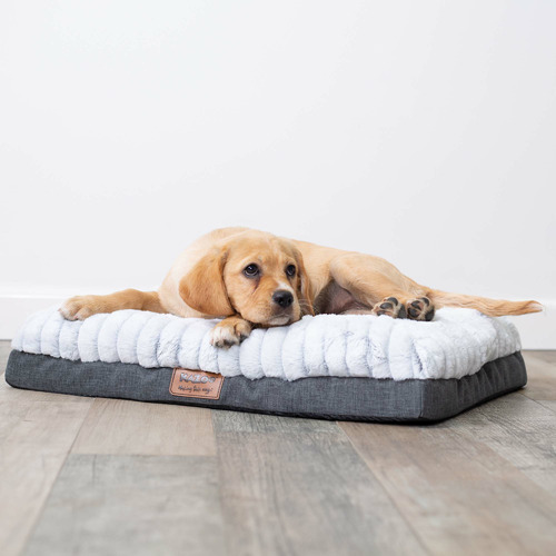 Kazoo Cloud Comfort Pet Bed Temple & ster