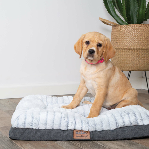 Kazoo Cloud Comfort Pet Bed Temple & ster