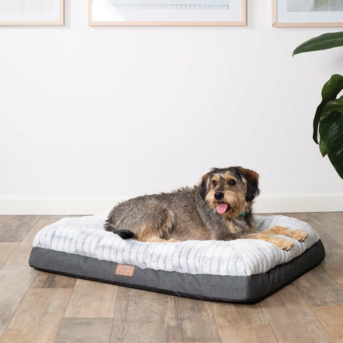 Kazoo Cloud Comfort Pet Bed Temple & ster