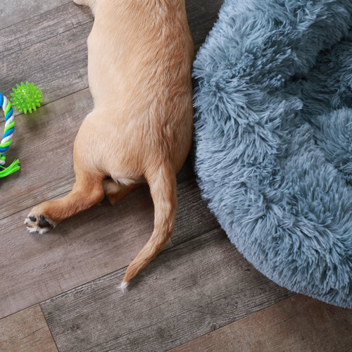 Peacock Pet Bed