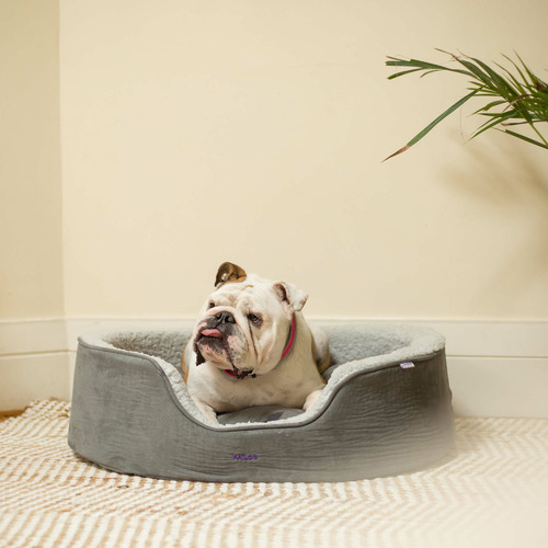 Manhattan Pet Bed