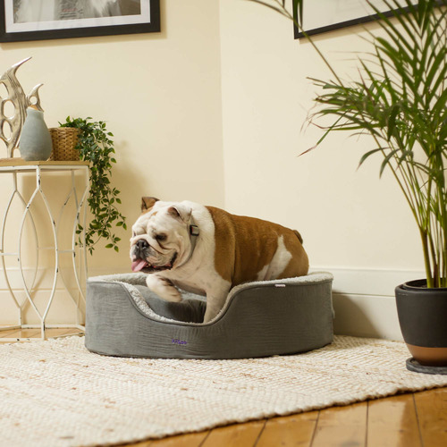 Kazoo Manhattan Pet Bed Temple & ster