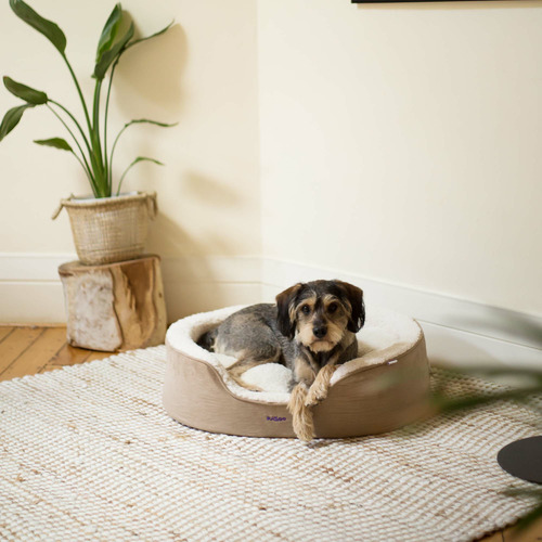 Kazoo Manhattan Pet Bed Temple & ster
