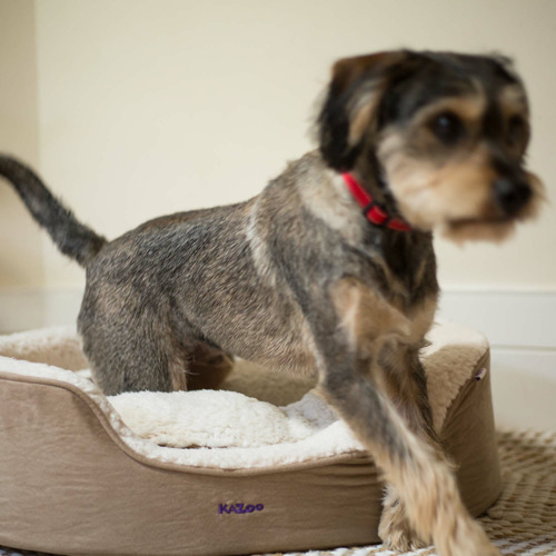 Manhattan Pet Bed