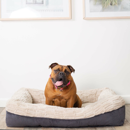 Kazoo Possum Pet Bed Temple & ster