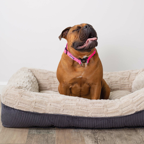 Kazoo Possum Pet Bed Temple & Webster