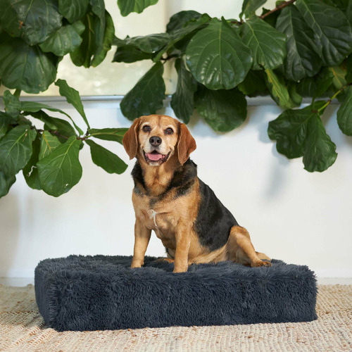 Slumber Pet Bed