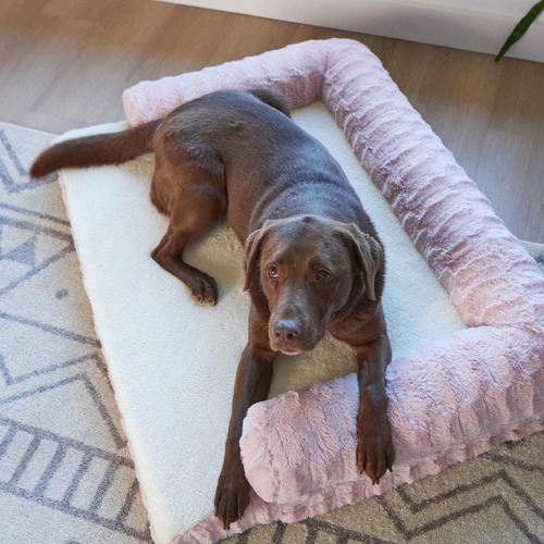 Boudoir Pet Bed