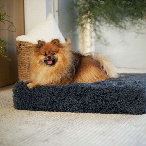 Slumber Pet Bed