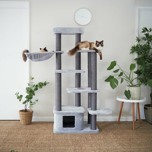 164cm Kitty Condo Cat Tree | Temple & Webster