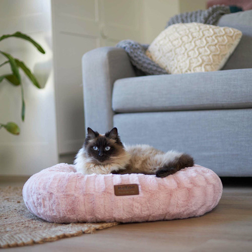 Kazoo Blush Loop Pet Bed Temple & ster