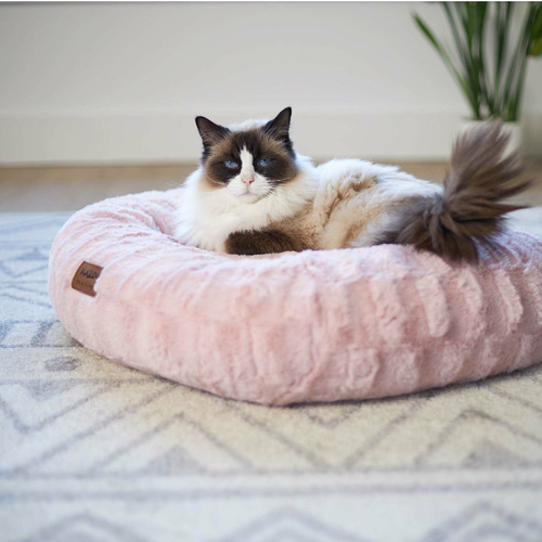 Kazoo Blush Loop Pet Bed Temple & ster