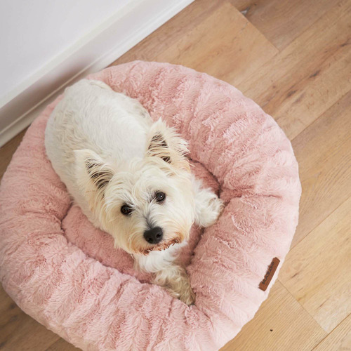 Kazoo Blush Loop Pet Bed Temple & ster