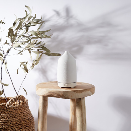 100ml Palm Beach Collection Aromatherapy Stone Diffuser