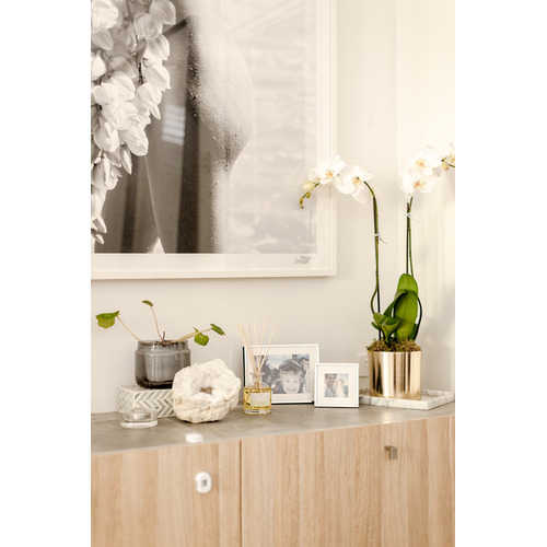 250ml Jasmine & Lime Fragrance Diffuser