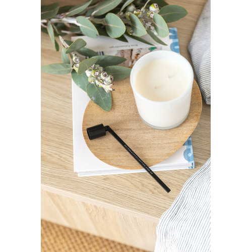 PalmBeachCollection Stainless Steel Candle Snuffer Temple & ster