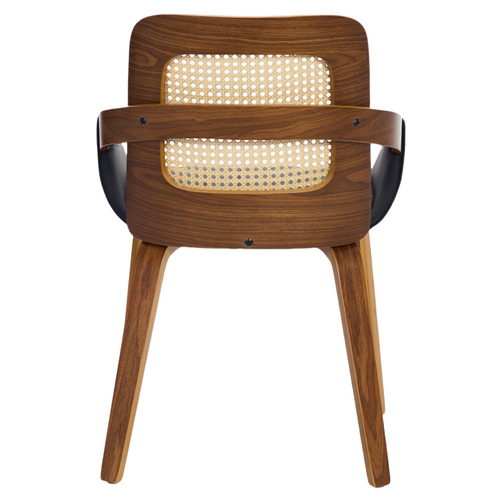 Otto Walnut Wood Dining Chairs
