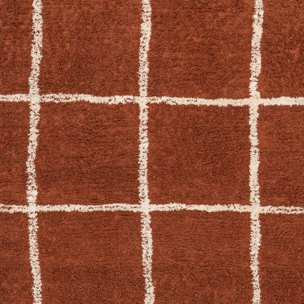 Xayden Machine Washable Rug