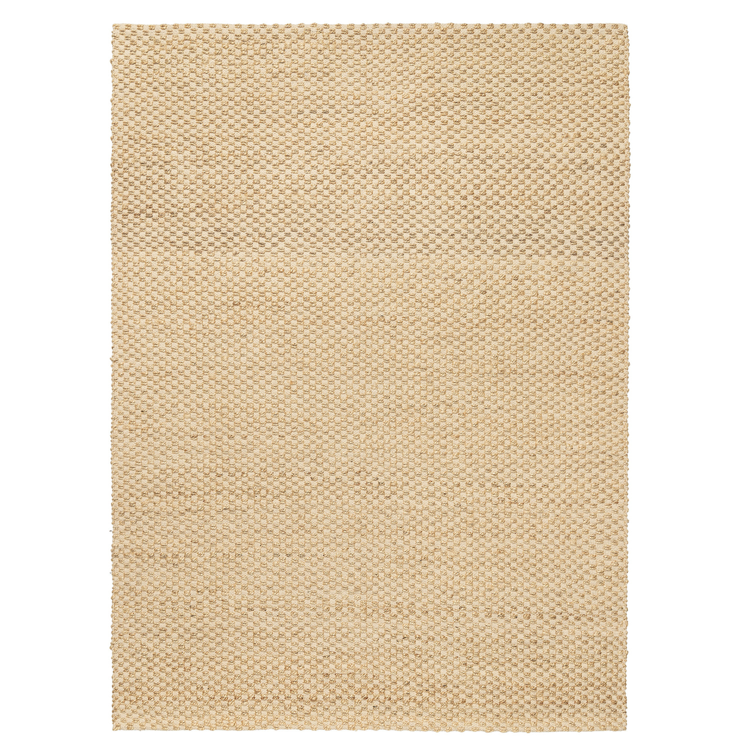 Larson Hand-Woven Jute & Cotton Rug