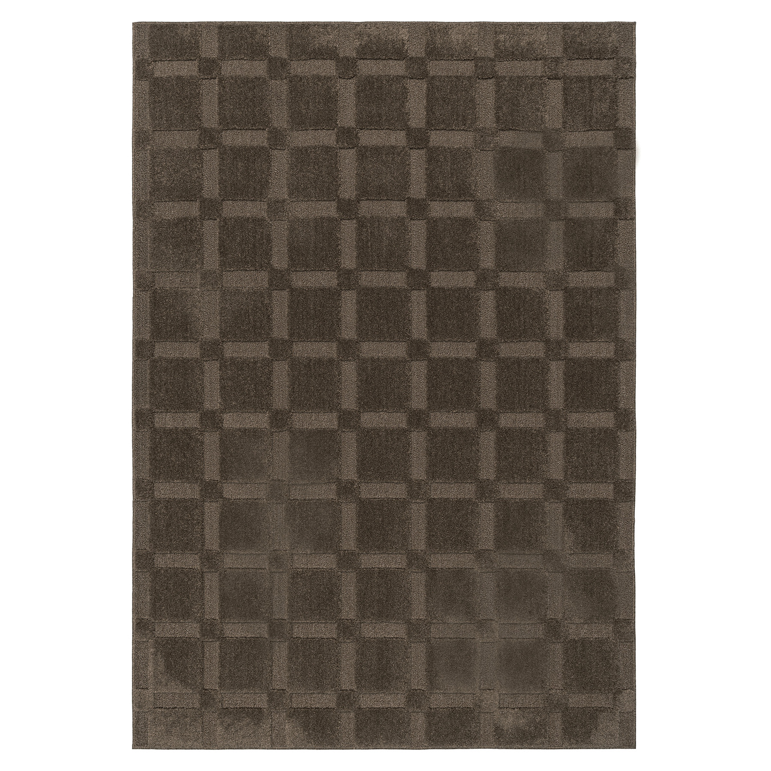Kayce Machine-Woven Rug